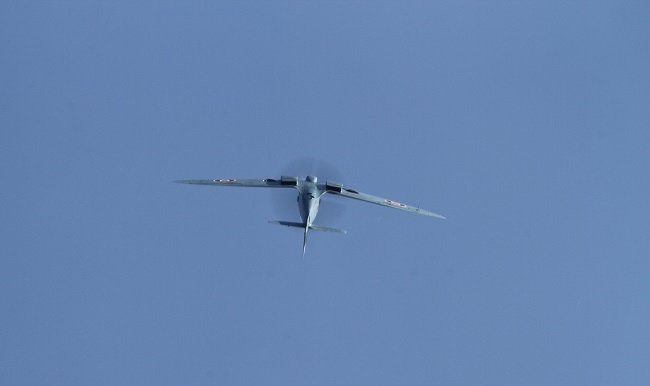IMGL8730.JPG