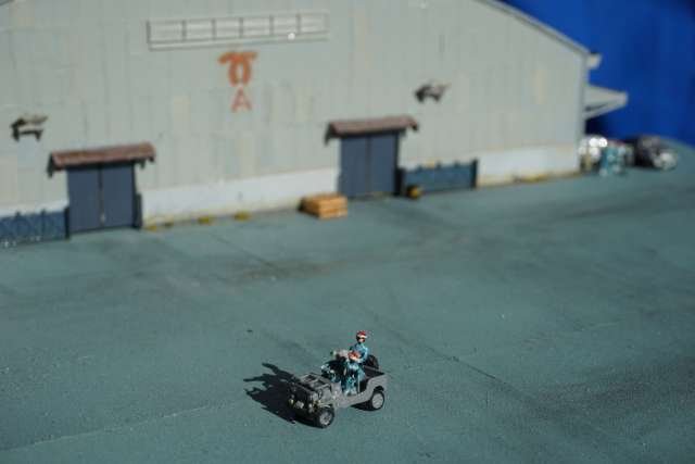DSC02226.jpg