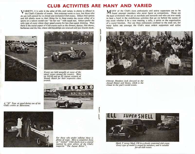 club4.jpg