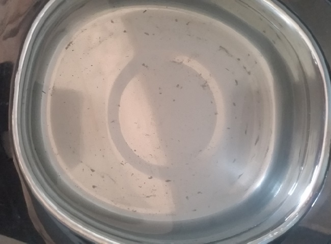 20180609_171452.jpg