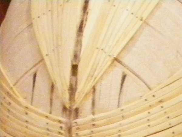 DSCF0917.JPG