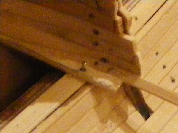 DSCF0934.JPG