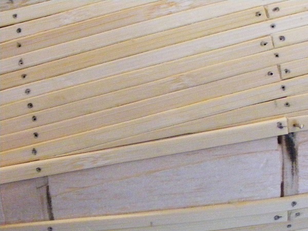 DSCF0955.JPG