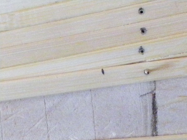 DSCF0958.JPG