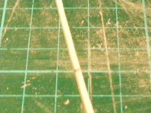 DSCF0960.JPG