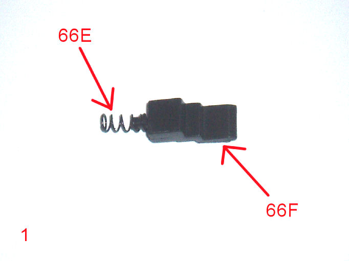 P1010037.JPG