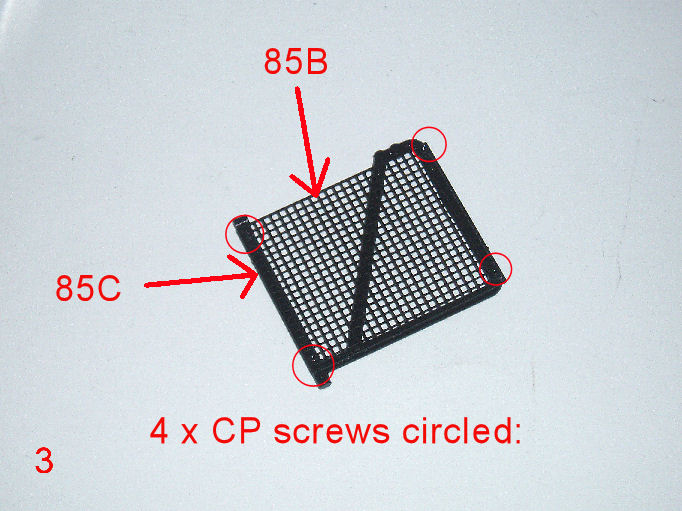 P1010099.JPG