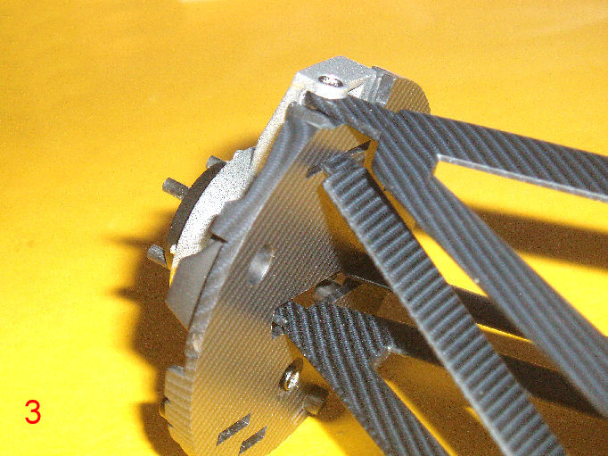 P1010005.JPG