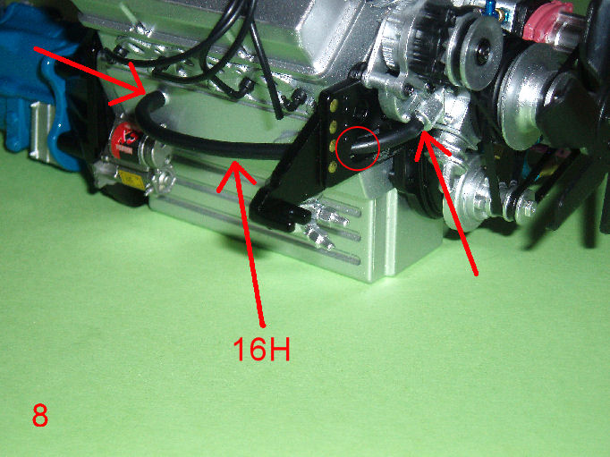 P1010080.JPG