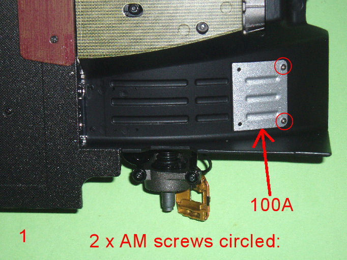 P1010003.JPG