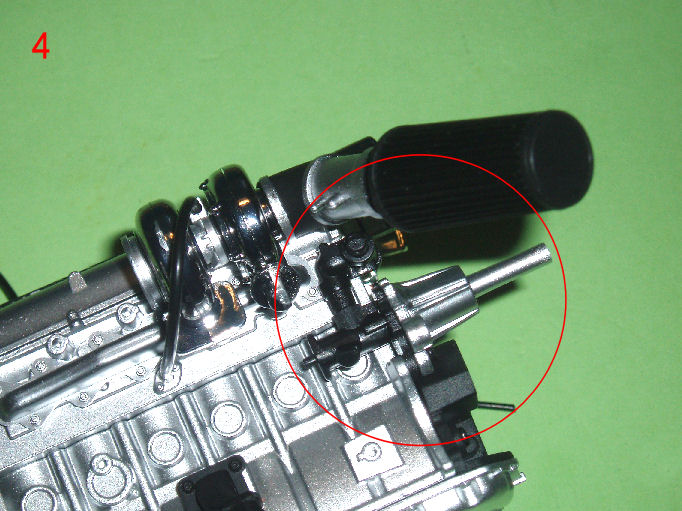 P1010005.JPG