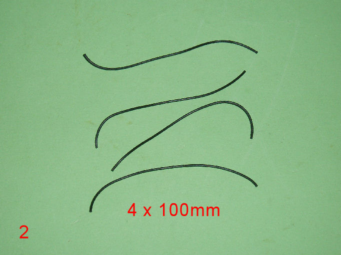 P1010003.JPG