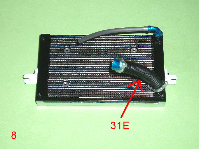 P1010009.JPG