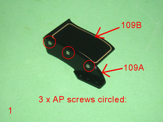 P1010003.JPG