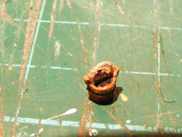 DSCF1702.JPG