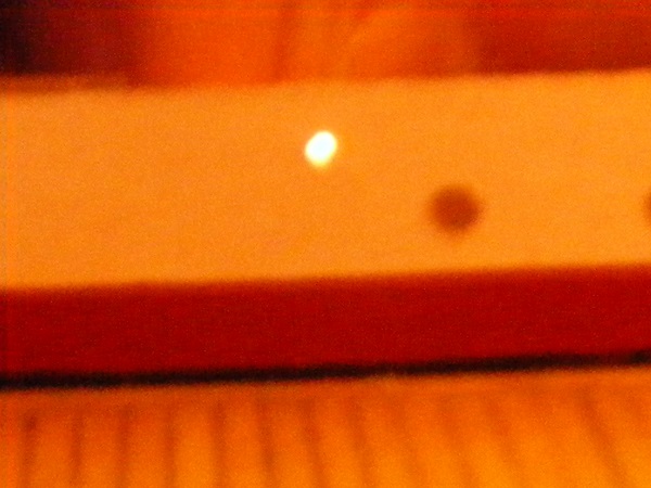 DSCF1894.JPG