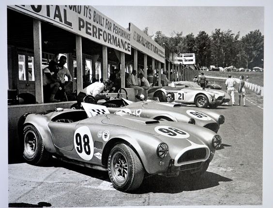 cobra mini screen.jpg