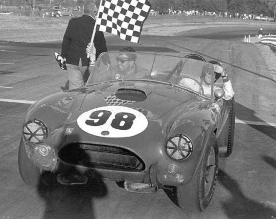 8fcff931175c454789b6f6e1889c9e3f.jpg cobra full screen.jpg